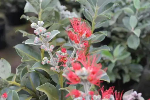 Biosecurity Awareness